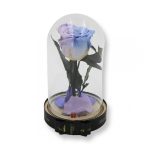 Közepes méretű búrába zárt Örök rózsa / Forever Rose - Bicolor Halványlila /Violet lila