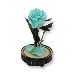   Közepes méretű búrába zárt Örök rózsa / Forever Rose - Menta zöld