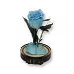 Közepes méretű búrába zárt Örök rózsa / Forever Rose - Világoskék