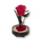 Közepes méretű búrába zárt Örök rózsa / Forever Rose - Dark Pink