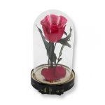 Közepes méretű búrába zárt Örök rózsa / Forever Rose - Dark Pink