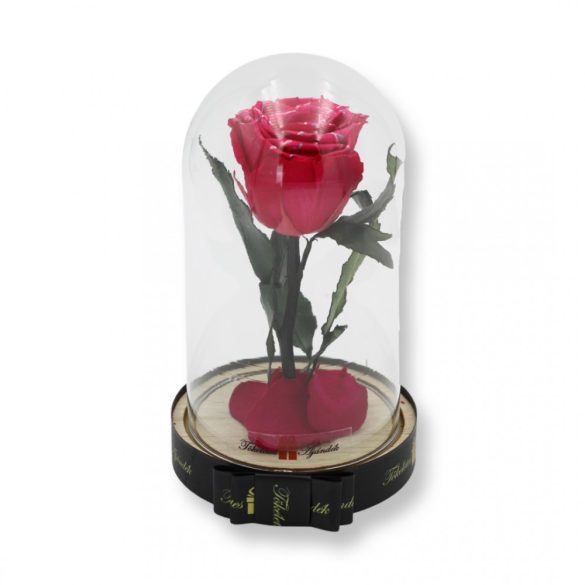 Közepes méretű búrába zárt Örök rózsa / Forever Rose - Dark Pink Festiva