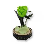 Közepes méretű búrába zárt Örök rózsa / Forever Rose - Zöld