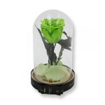 Közepes méretű búrába zárt Örök rózsa / Forever Rose - Zöld