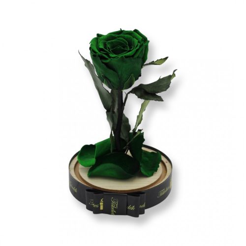 Közepes méretű búrába zárt Örök rózsa / Forever Rose - Smaragd Zöld