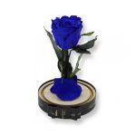 Közepes méretű búrába zárt Örök rózsa / Forever Rose - Kék