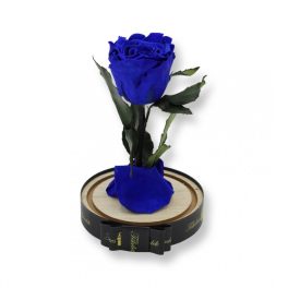   Közepes méretű búrába zárt Örök rózsa / Forever Rose - Kék