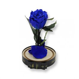   Közepes méretű búrába zárt Örök rózsa / Forever Rose - Kék galaxy