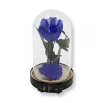 Közepes méretű búrába zárt Örök rózsa / Forever Rose - Kék galaxy