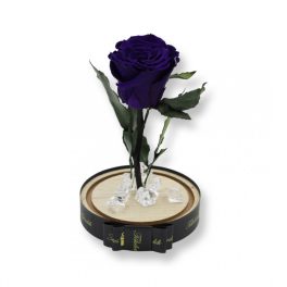   Közepes méretű búrába zárt Örök rózsa / Forever Rose - Sötétlila