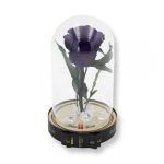 Közepes méretű búrába zárt Örök rózsa / Forever Rose - Sötétlila