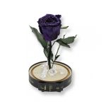 Közepes méretű búrába zárt Örök rózsa / Forever Rose - Sötétlila galaxy