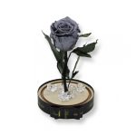 Közepes méretű búrába zárt Örök rózsa / Forever Rose - Szürke