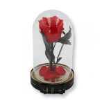Közepes méretű búrába zárt Örök rózsa / Forever Rose - Korall