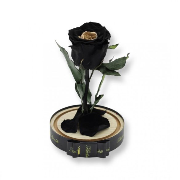 Közepes méretű búrába zárt Örök rózsa / Forever Rose - Bicolor Fekete