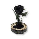 Közepes méretű búrába zárt Örök rózsa / Forever Rose - Fekete galaxy