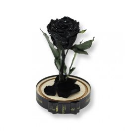   Közepes méretű búrába zárt Örök rózsa / Forever Rose - Fekete galaxy