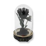 Közepes méretű búrába zárt Örök rózsa / Forever Rose - Fekete galaxy