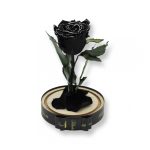 Közepes méretű búrába zárt Örök rózsa / Forever Rose - Fekete zebra effect