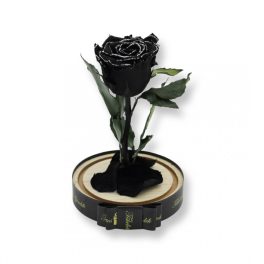   Közepes méretű búrába zárt Örök rózsa / Forever Rose - Fekete zebra effect