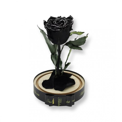 Közepes méretű búrába zárt Örök rózsa / Forever Rose - Fekete zebra effect
