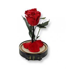   Közepes méretű búrába zárt Örök rózsa / Forever Rose - Piros galaxy