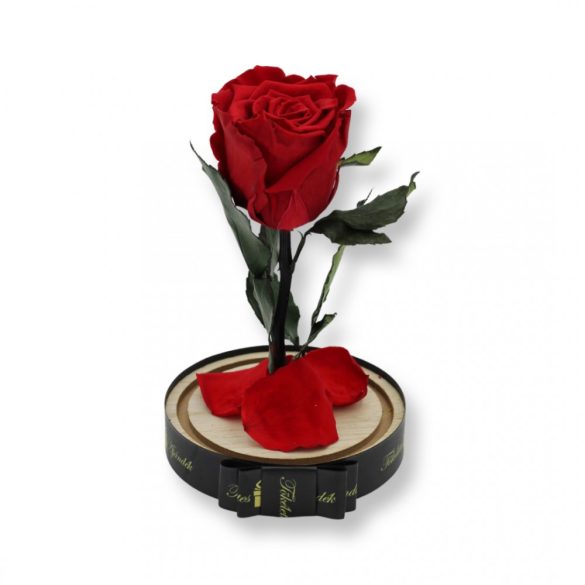 Közepes méretű búrába zárt Örök rózsa / Forever Rose - Piros