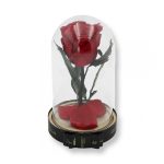 Közepes méretű búrába zárt Örök rózsa / Forever Rose - Piros