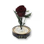 Közepes méretű búrába zárt Örök rózsa / Forever Rose - Chocolate