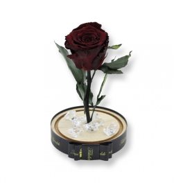   Közepes méretű búrába zárt Örök rózsa / Forever Rose - Chocolate