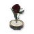 Közepes méretű búrába zárt Örök rózsa / Forever Rose - Chocolate