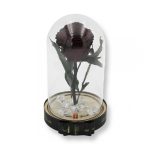 Közepes méretű búrába zárt Örök rózsa / Forever Rose - Chocolate