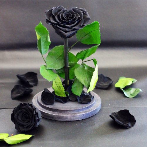 Nagy méretű búrába zárt Szív alakú Örök Rózsa / Forever Rose - Fekete
