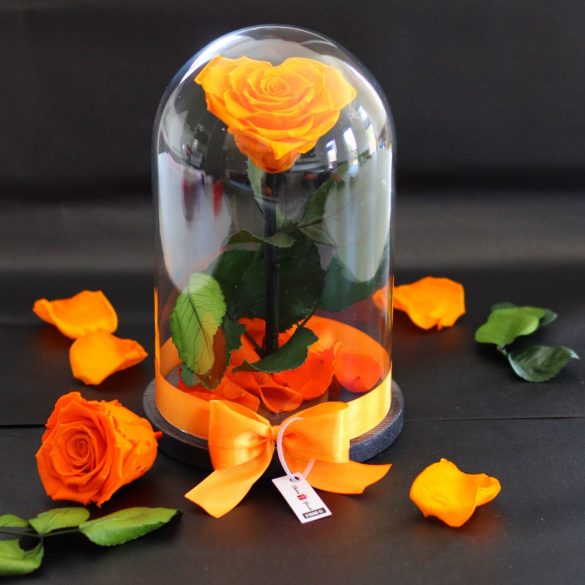 Nagy méretű búrába zárt Szív alakú Örök Rózsa / Forever Rose - Narancssárga