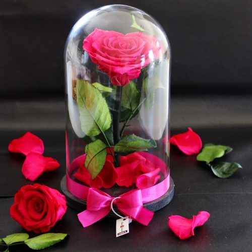 Nagy méretű búrába zárt Szív alakú Örök Rózsa / Forever Rose - Pink