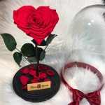 Nagy méretű búrába zárt Szív alakú Örök Rózsa / Forever Rose - Piros