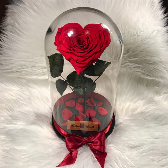 Nagy méretű búrába zárt Szív alakú Örök Rózsa / Forever Rose - Piros