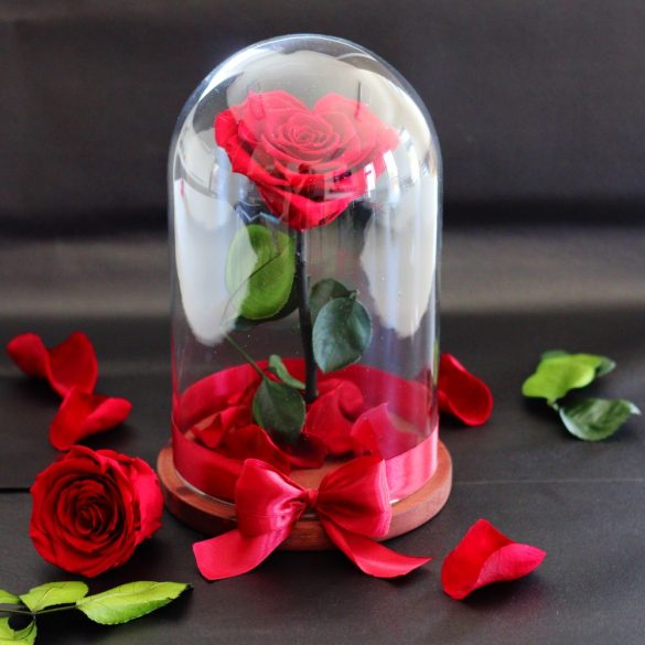 Nagy méretű búrába zárt Szív alakú Örök Rózsa / Forever Rose - Piros