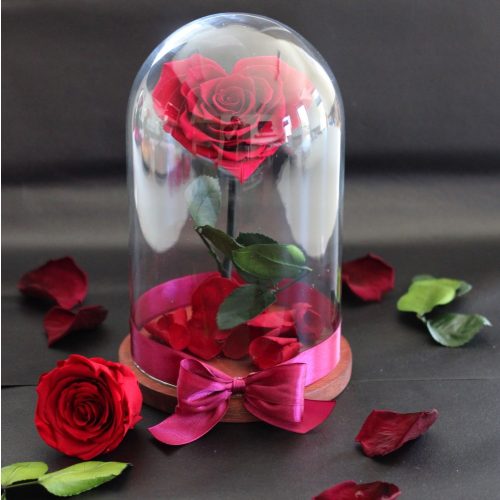 Nagy méretű búrába zárt Szív alakú Örök Rózsa / Forever Rose - Vörös