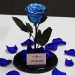Nagy méretű búrába zárt METÁL Örök Rózsa / Forever Rose - Sötétkék