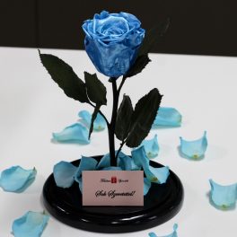   Nagy méretű búrába zárt METÁL Örök Rózsa / Forever Rose - Világoskék