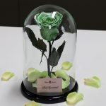 Nagy méretű búrába zárt METÁL Örök Rózsa / Forever Rose - Menta