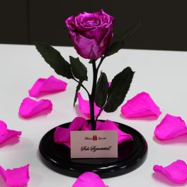   Nagy méretű búrába zárt METÁL Örök Rózsa / Forever Rose - Pink