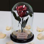 Nagy méretű búrába zárt METÁL Örök Rózsa / Forever Rose -Rose Gold