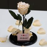 Nagy méretű búrába zárt METÁL Örök Rózsa / Forever Rose - Szatén
