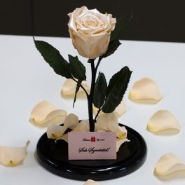   Nagy méretű búrába zárt METÁL Örök Rózsa / Forever Rose - Szatén