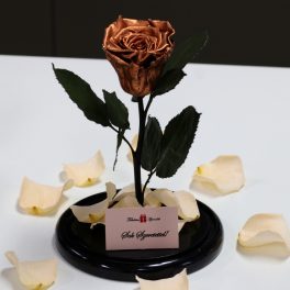   Nagy méretű búrába zárt METÁL Örök Rózsa / Forever Rose - Toffee