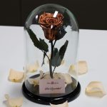 Nagy méretű búrába zárt METÁL Örök Rózsa / Forever Rose - Toffee