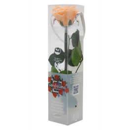   Örök Rózsa szál / Forever Rose PVC díszdobozban 30 cm - Barack
