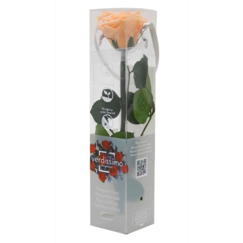 Örök Rózsa szál / Forever Rose PVC díszdobozban 30 cm - Barack